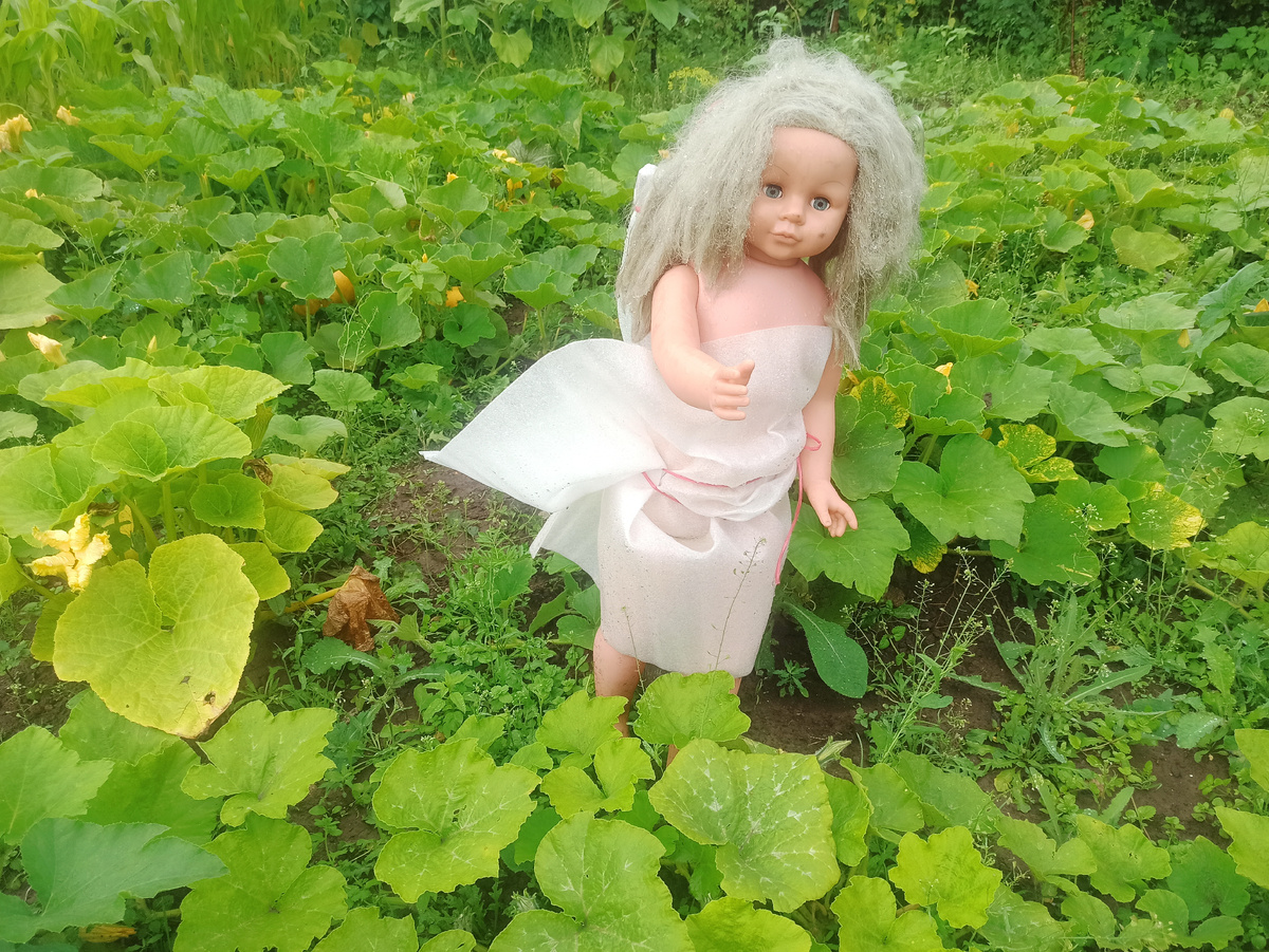 Фото автора. Но победил огород