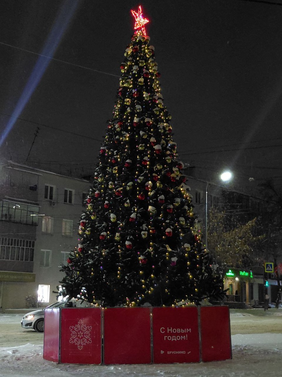 Зеленая красавица украшает улицу Пушкина. Фото предоставлено администрацией Челябинска