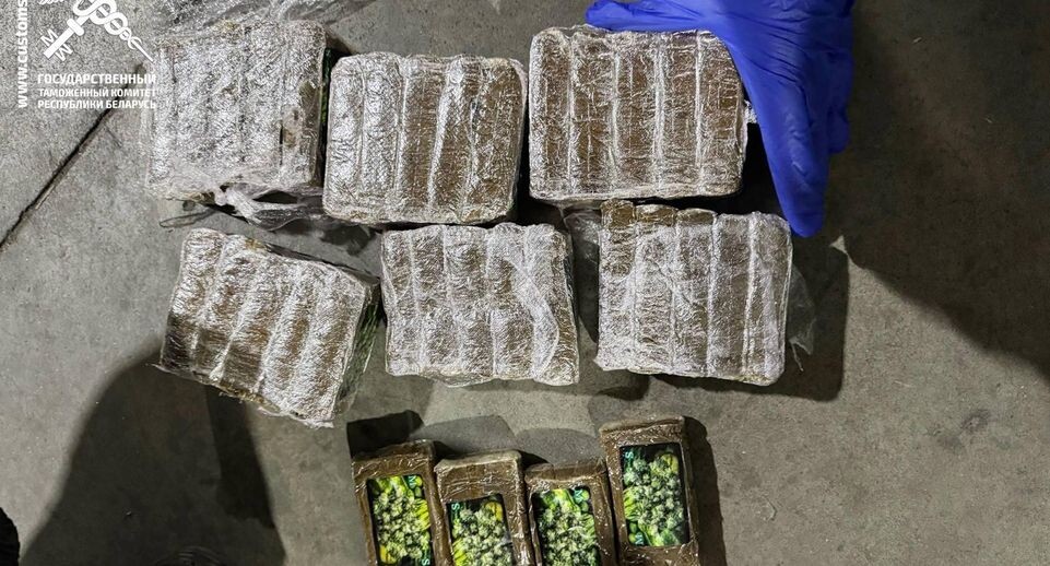    Таможенные органы Беларуси