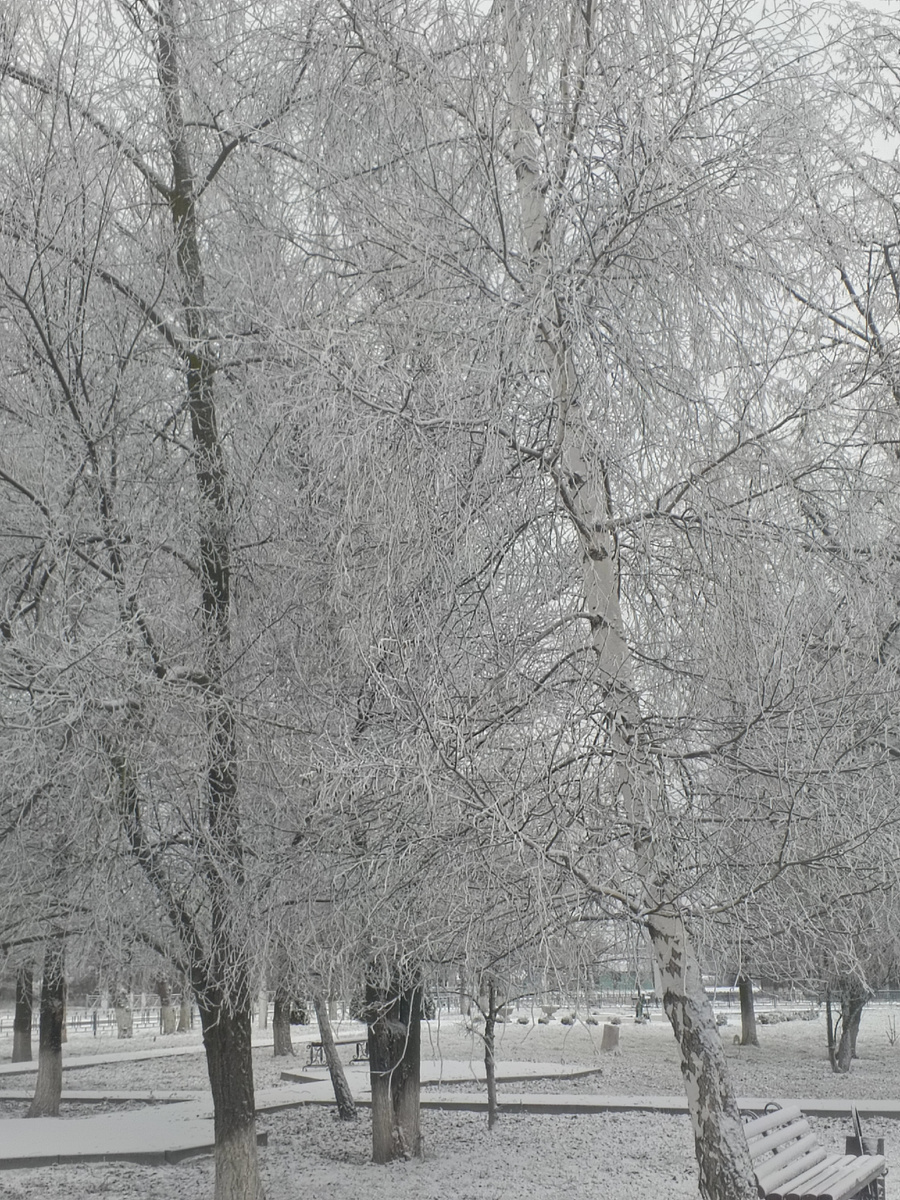 Фото автора.