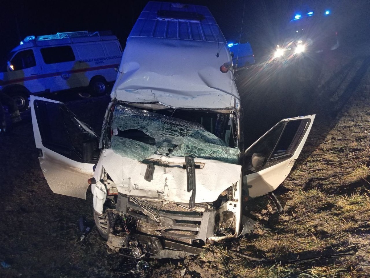 Фото: Госавтоинспекция Марий Эл