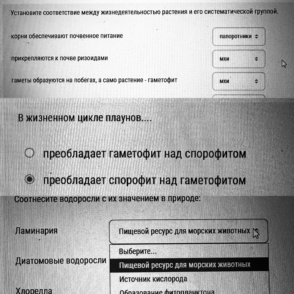 Фото автора канала