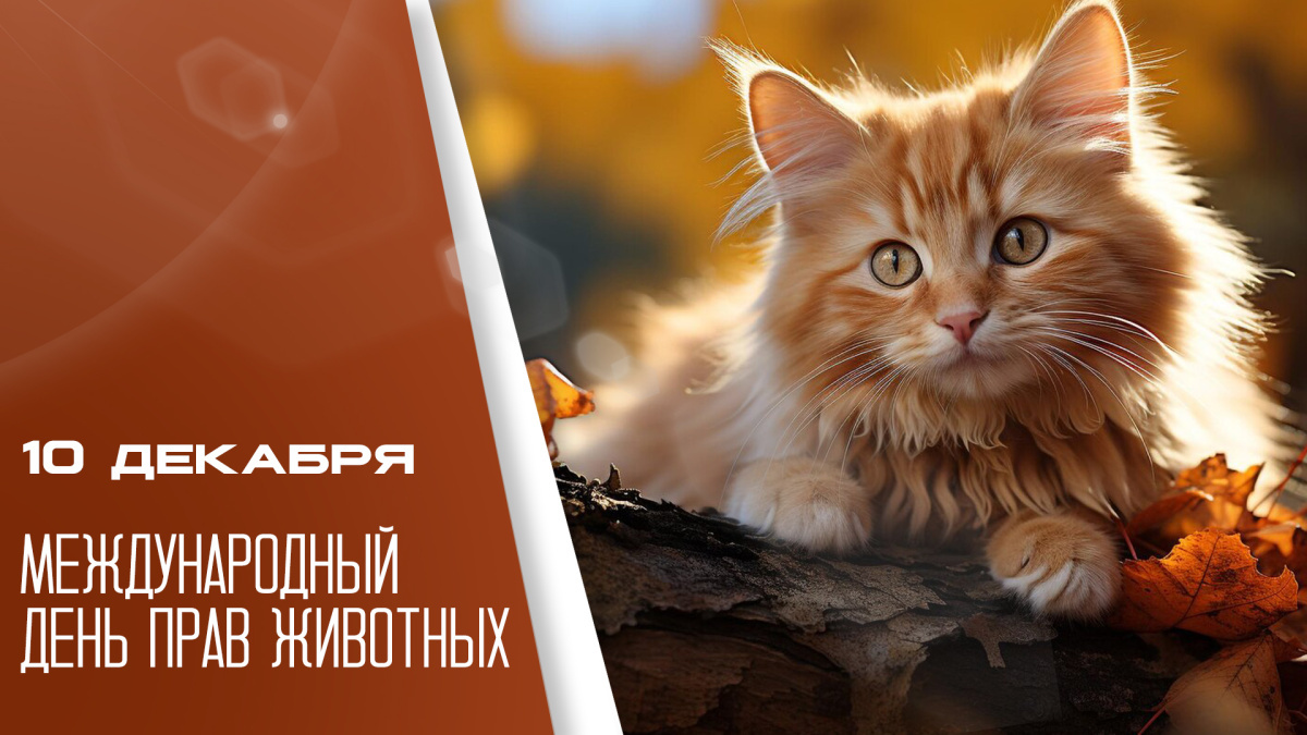 Фото: tvsamara.ru