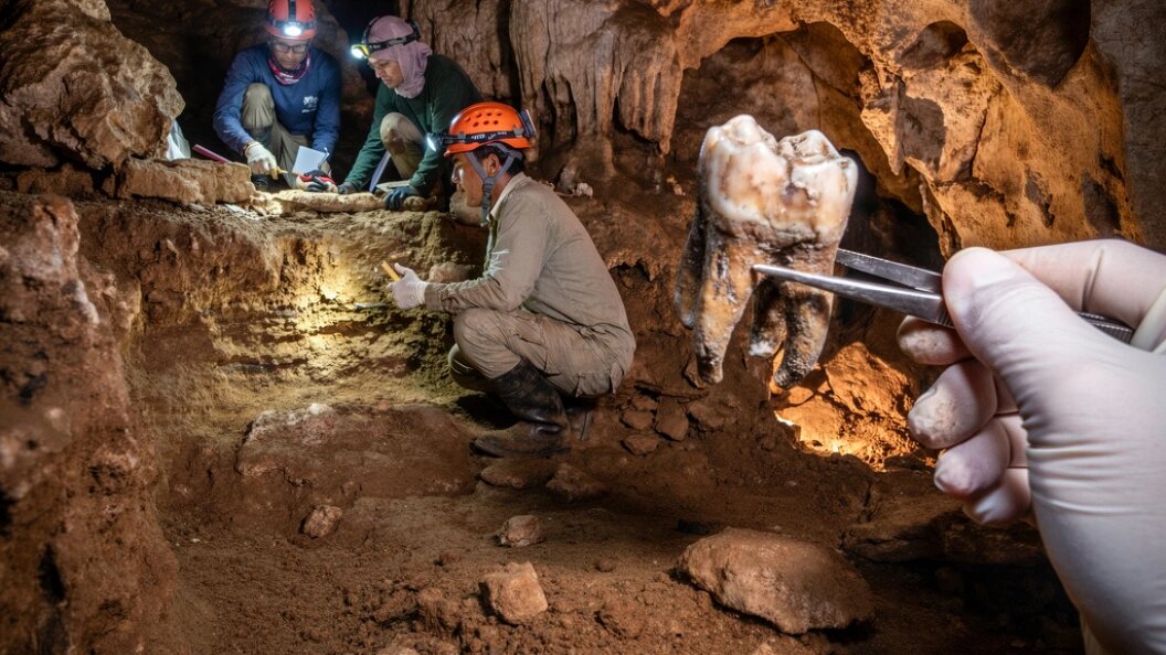    Коллаж "Царьграда"