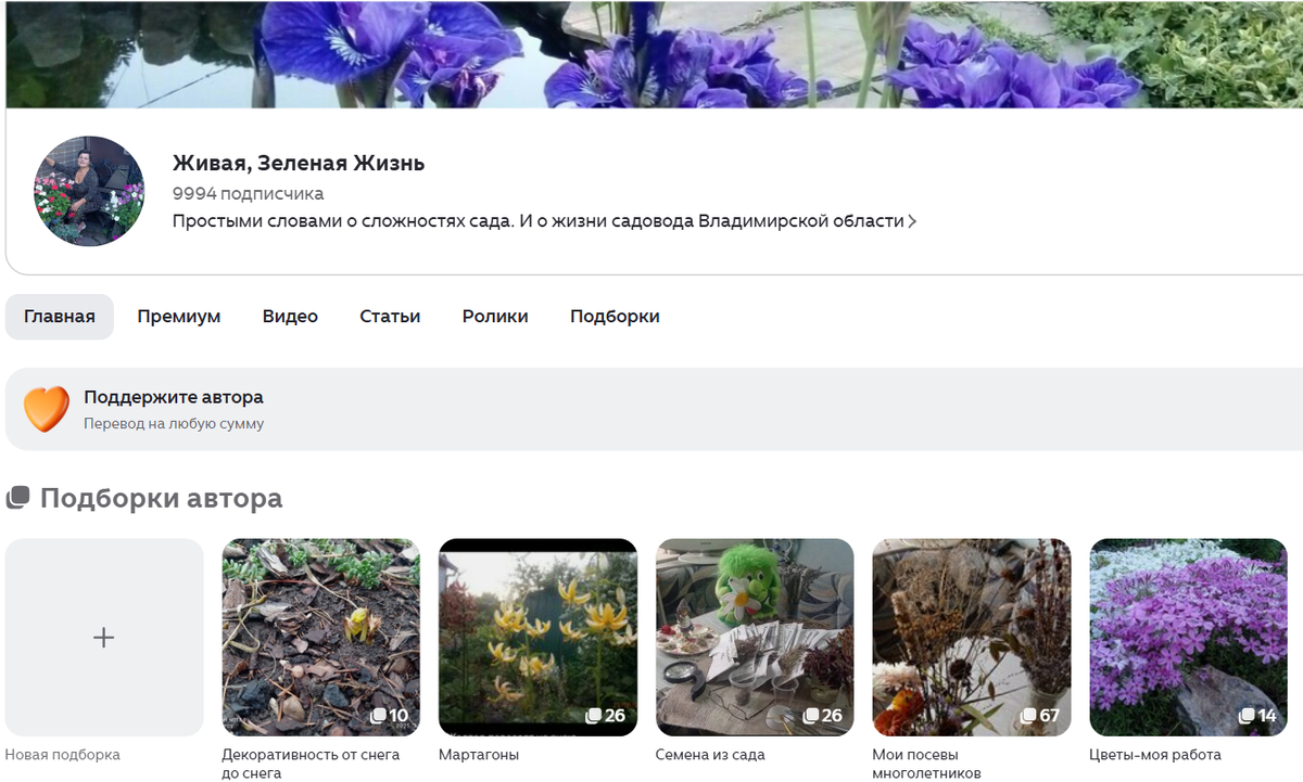 главная стрница канала