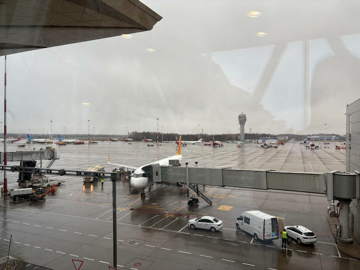 Фото: Neva.Today