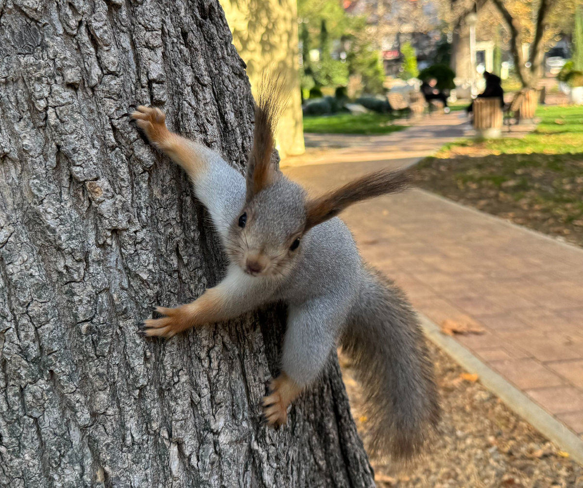 Фото автора