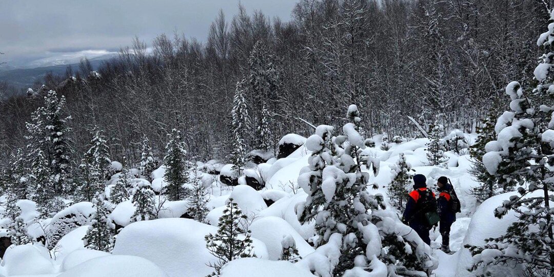 "Тайга.Усольцевы.Поиски.Новые факты от свидетелей. Детский крик из леса." - Новые "комменты" в сети к происшедшему.