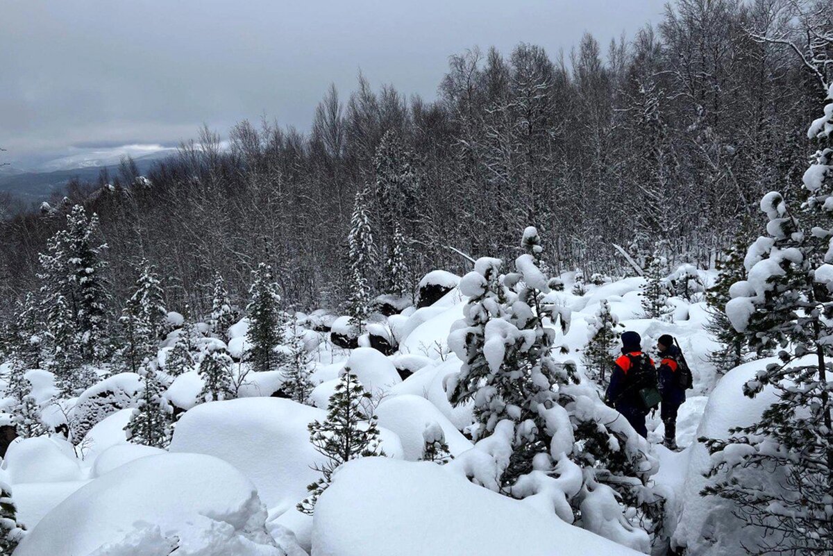 Таежные просторы.  фото: яндекс.