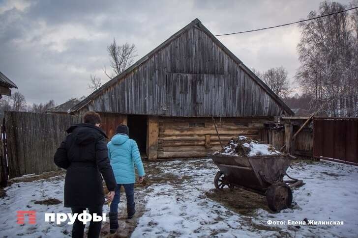    Фото: Пруфы