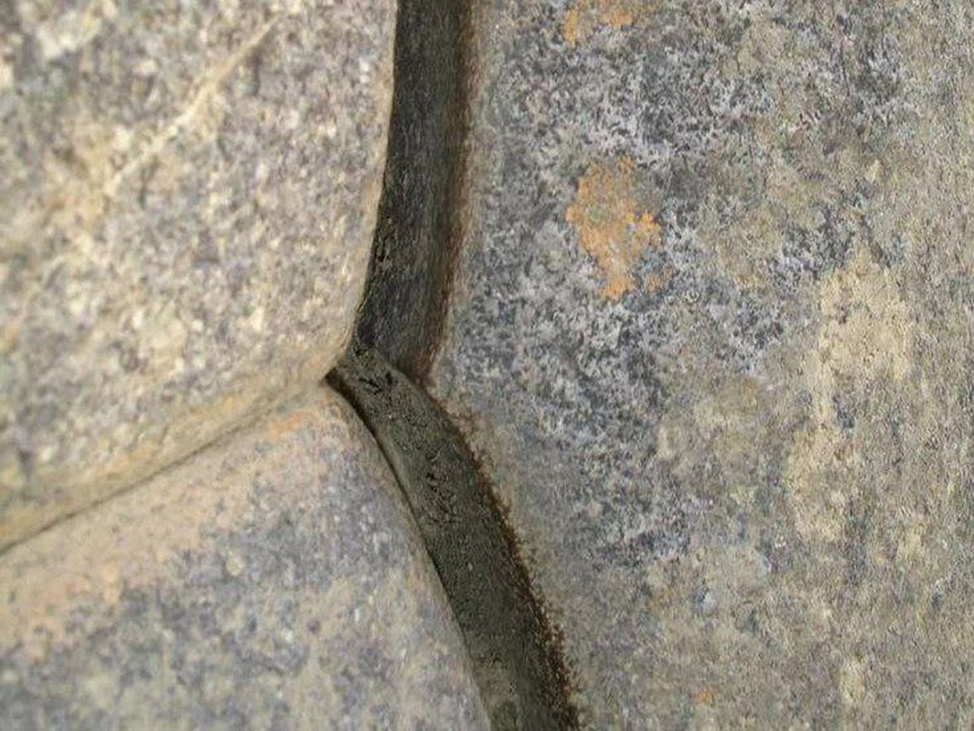 (https://budclub.ru/img/h/hamant_l/building/55-1.jpg)