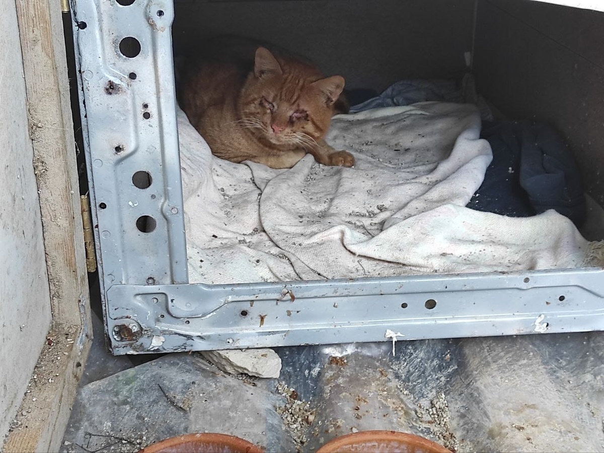 Он выжил. Но потом всё стало очень сложно.