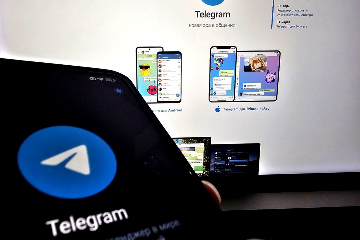    снимок из приложения "Telegram"