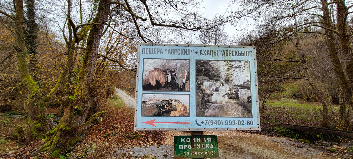 В сезон тут конечно проводят экскурсии. Для тех кто сам на машинах приезжает и для тех, кто с экскурсиями из других городов Абхазии. Правда, судя по дороге, автобусы сюда вряд ли проедут