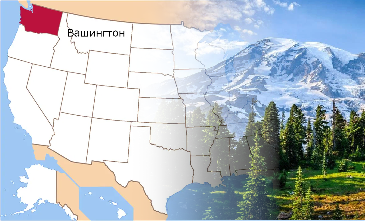 Штат Вашингтон находится у Тихого океана, прижатый сверху Канадой