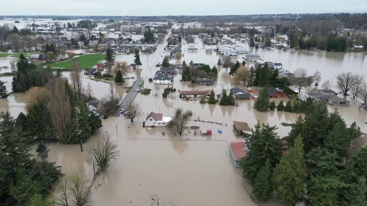 Вот что случилось на днях: Сумас (штат Вашингтон; 11 декабря) ▶️