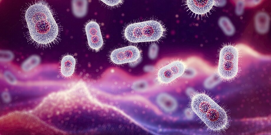    Фото: 123RF.com/vampy1