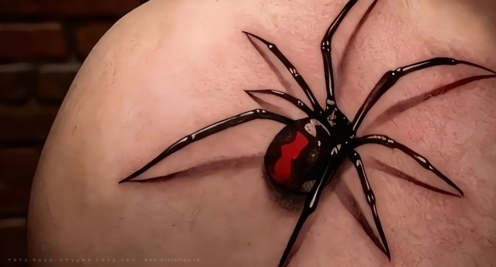 Татуировка - паук
