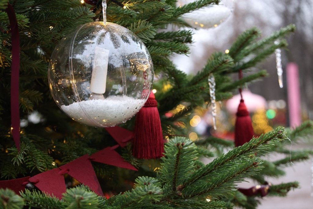    Фото © Анастасия Романова / Абзац