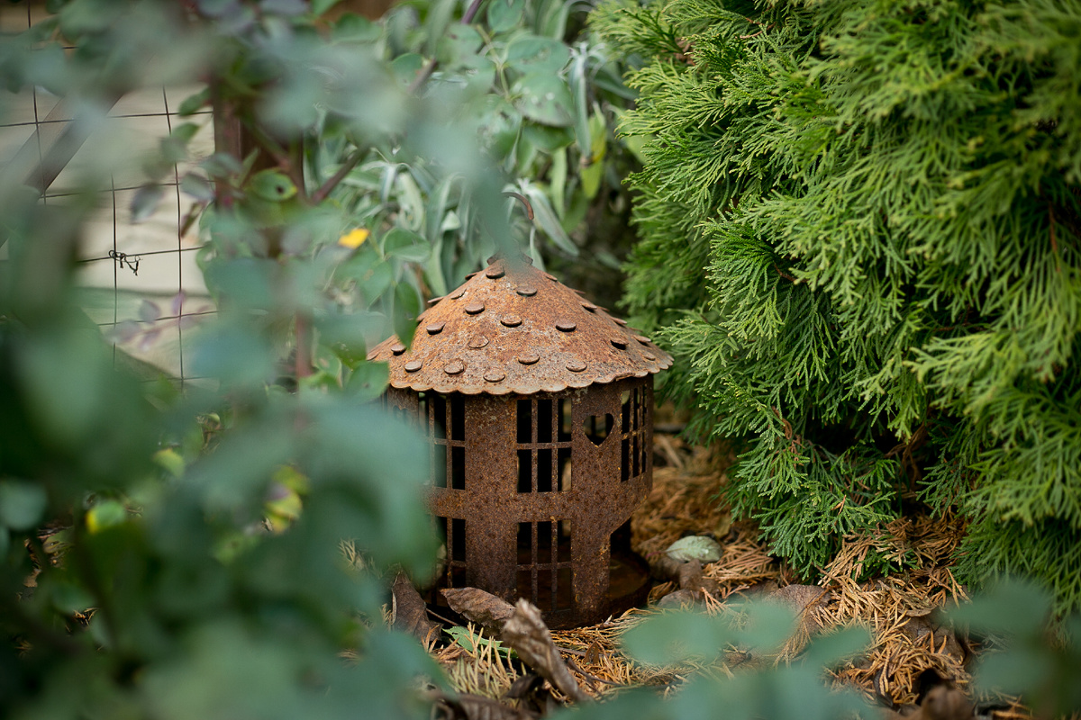 Автор фото Елена Якимова / Greenfingers