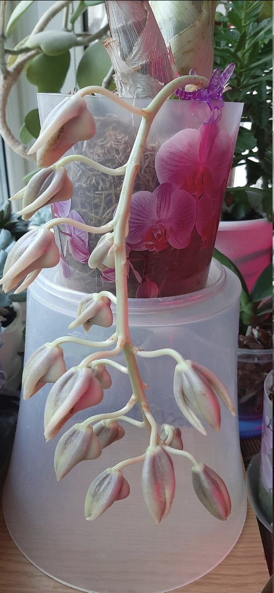 А вы что видите? 