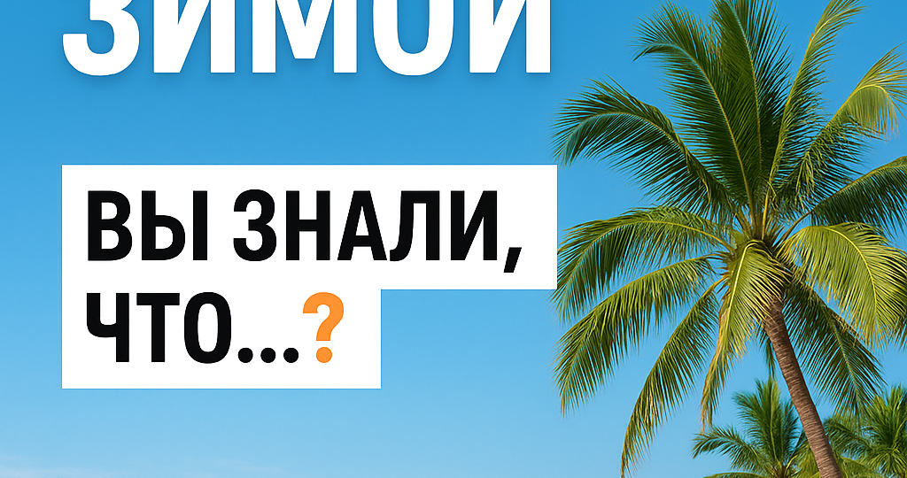 ❄️ Как меняется Паттайя зимой: секреты сезона, о которых вы не знали