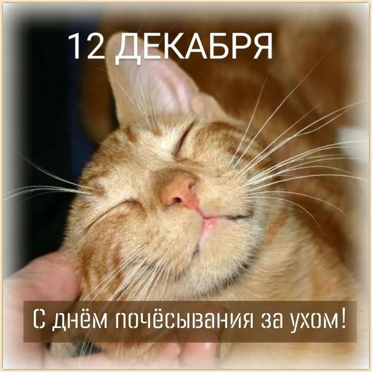 Источник: https://ru.pinterest.com/pin/579557045823968276/