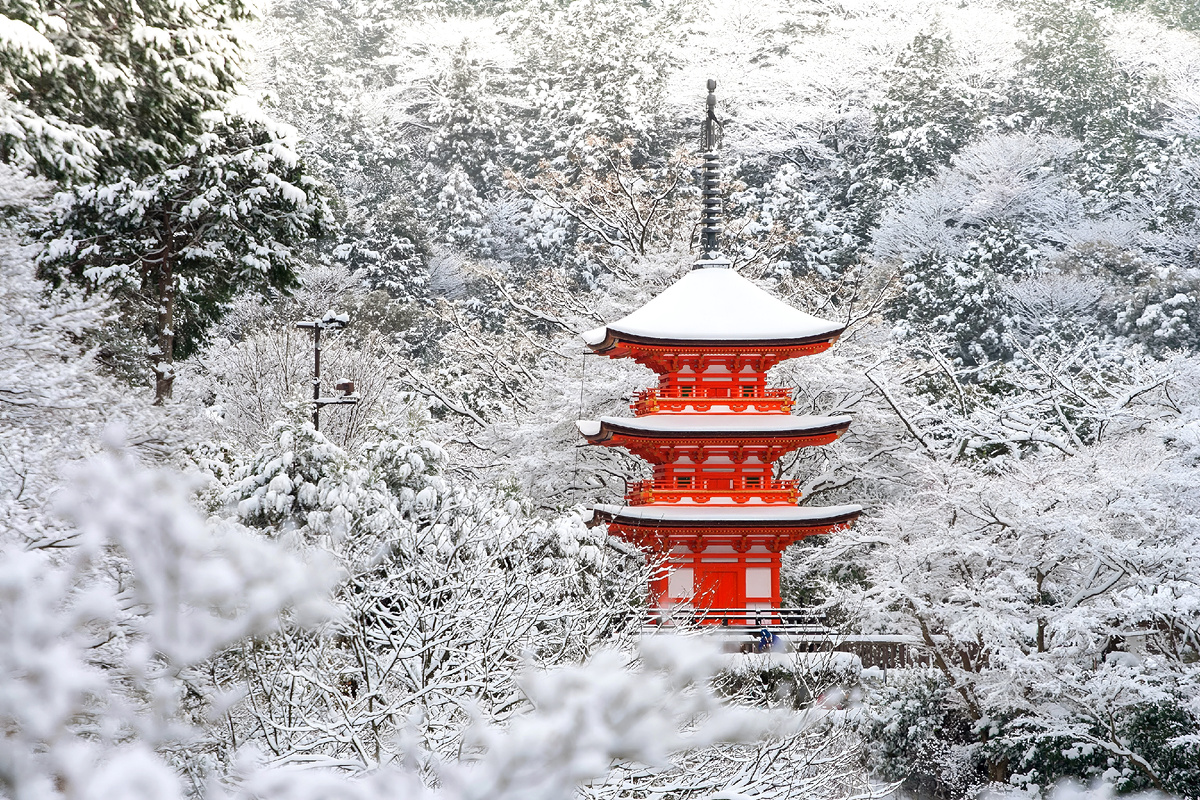 @Muhammadhamza574/Shutterstock.com 