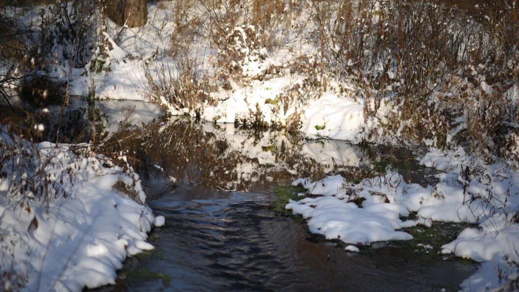    Фото: Олег Рукавицын/Царьград