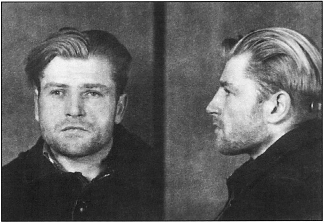 Яндекс картинки