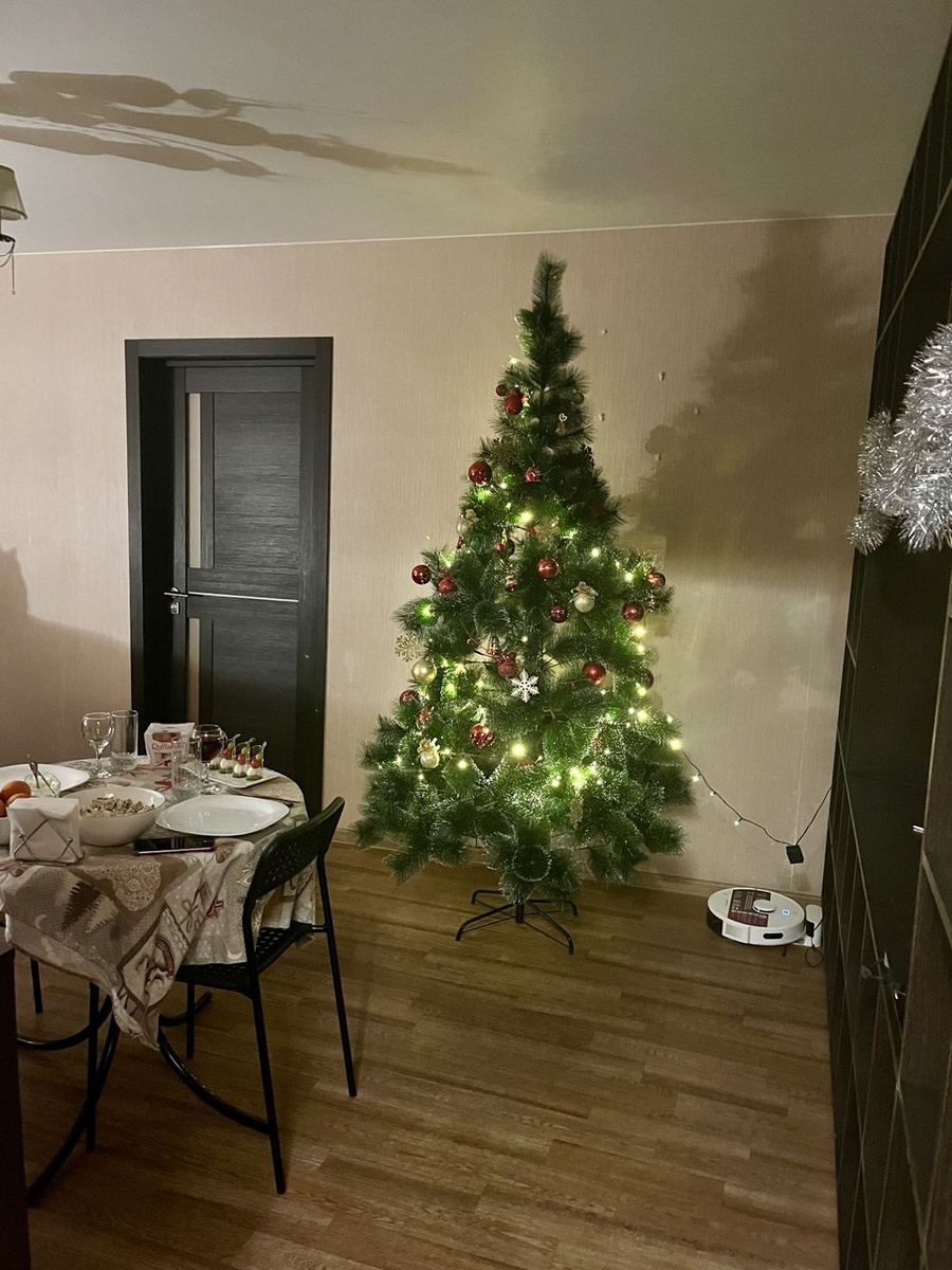 Наша елочка в прошлом году. Очень надеюсь, что ей не стало очень сильно плохо на балконе.  Дала себе слово - завтра пойду доставать. Хватит прятать нос в песок, как страус. 