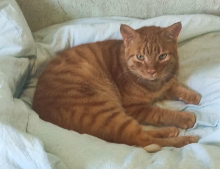 Григорий Иванович