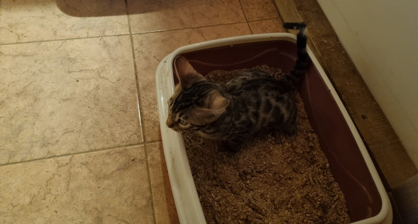    Фото Анастасии Дмитриевой