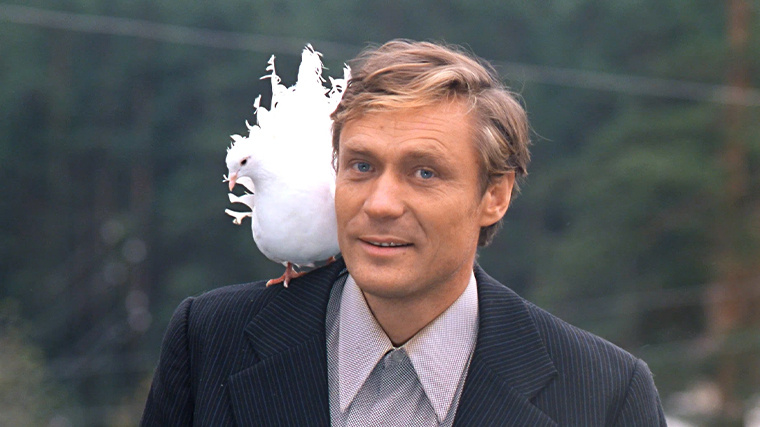 Фото: Кадр из к/ф «Любовь и голуби», реж. Владимир Меньшов, 1984 г.