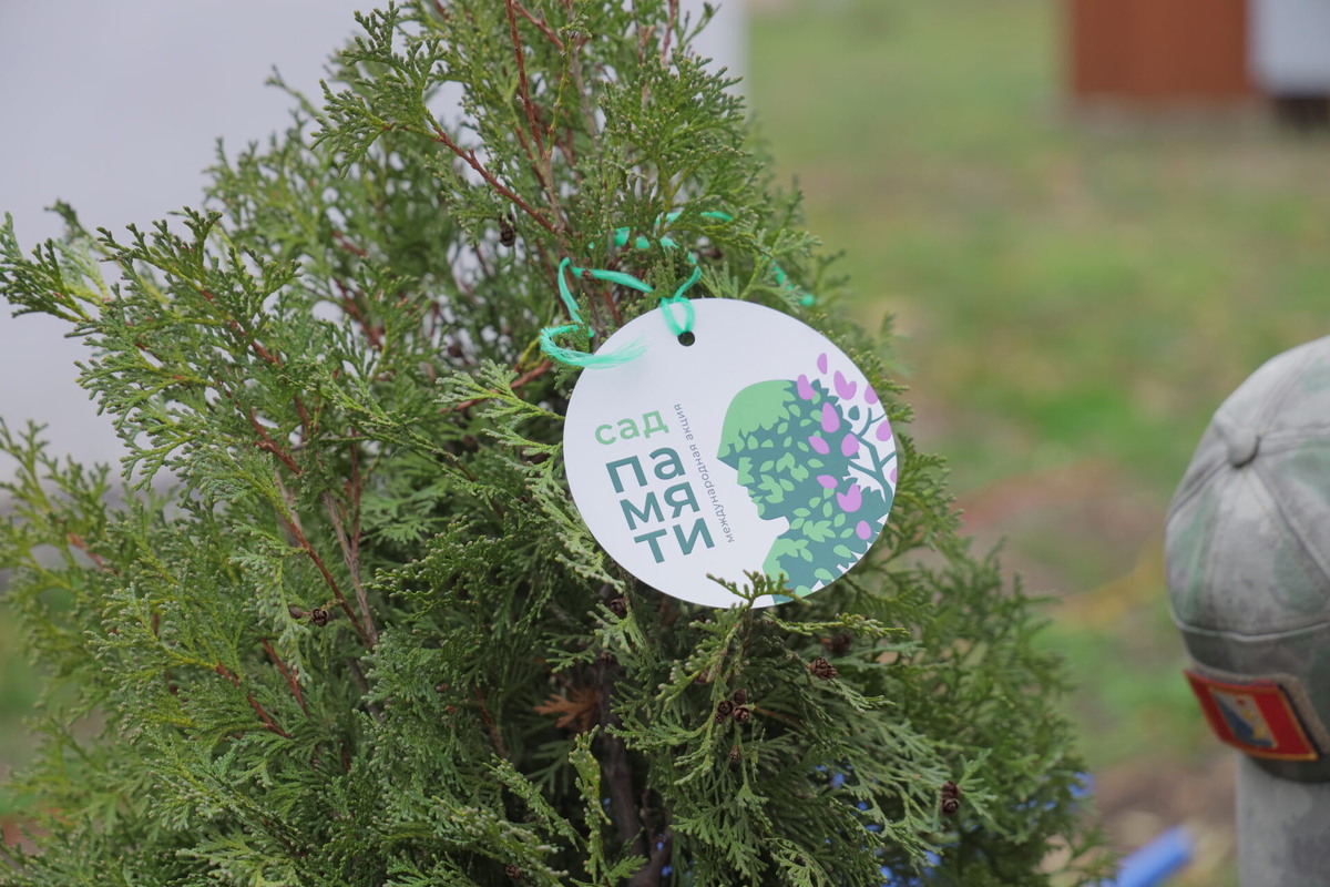    Фото: ТРК Таврия