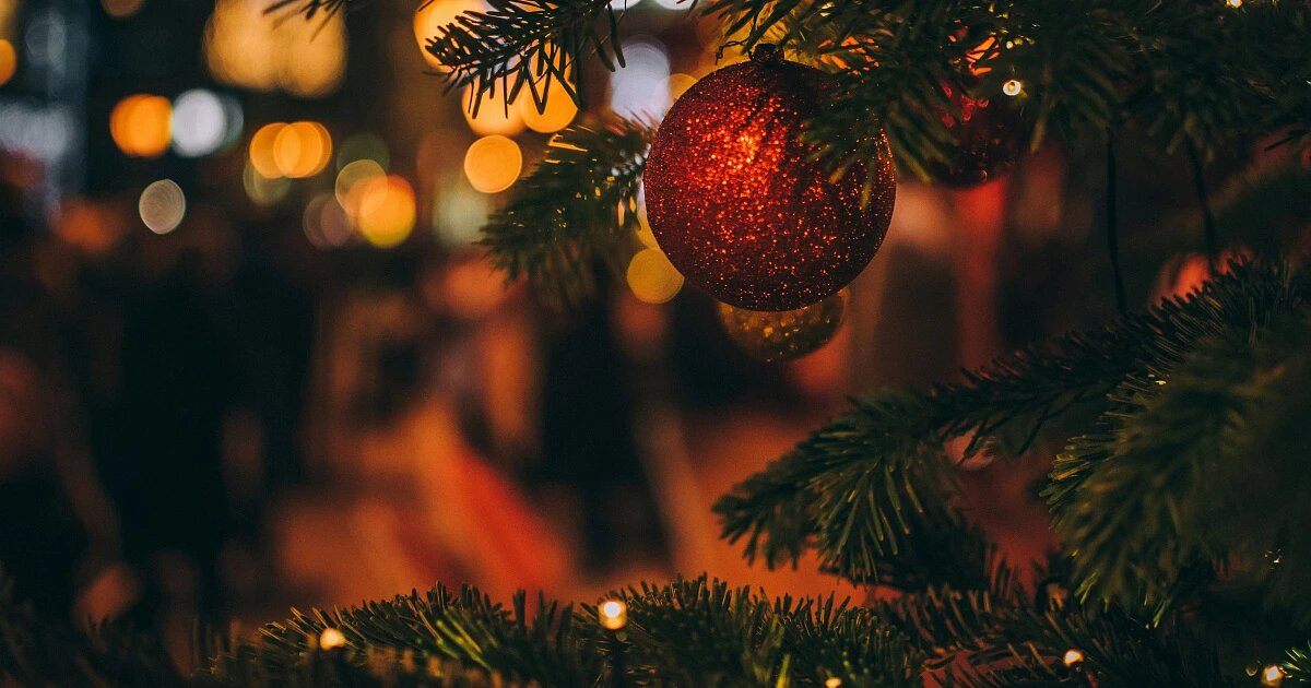 Фото: Szabo Viktor / Unsplash
