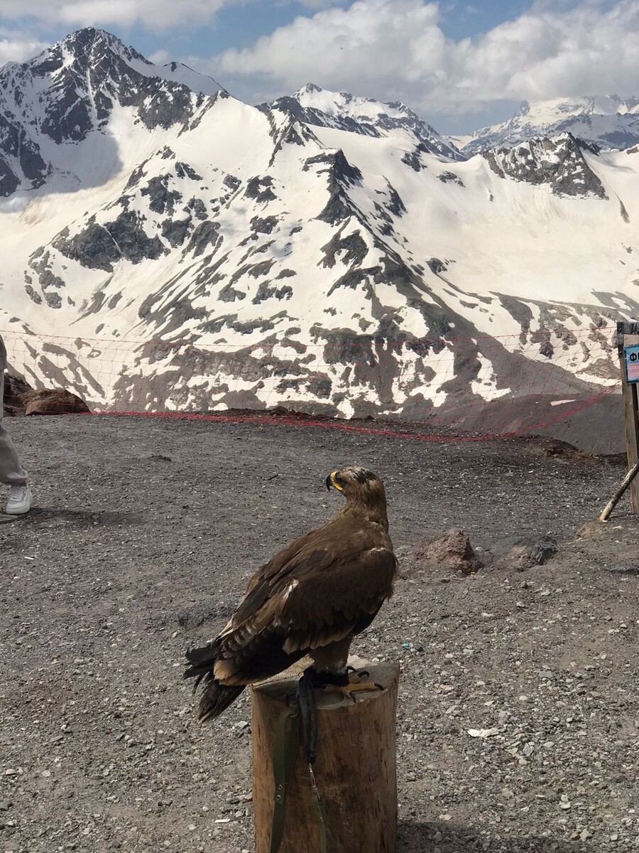 В Предгорьях Кавказа. Фото Н.Кобяковой