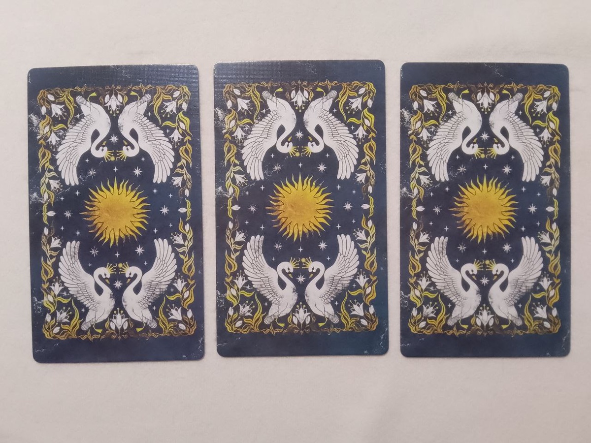 Выбор варианта