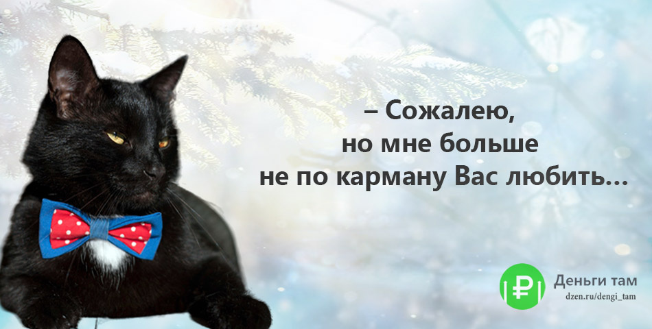 Иллюстрация сделана с использованием картинки из Freepik www.freepik.com/free-photo/front-view-beautiful-black-cat-with-bow-tie_11524212.htm