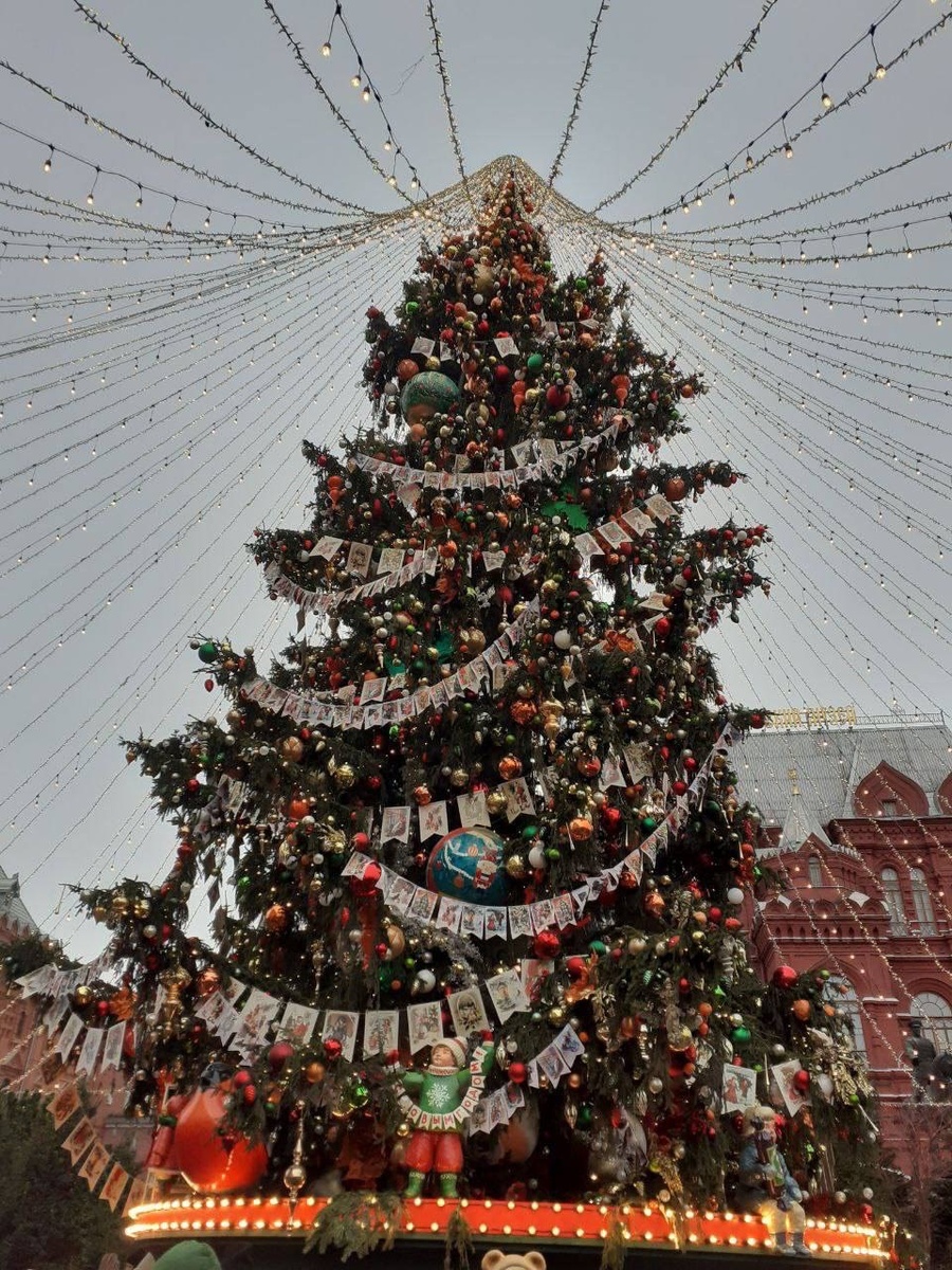 Фото автора статьи