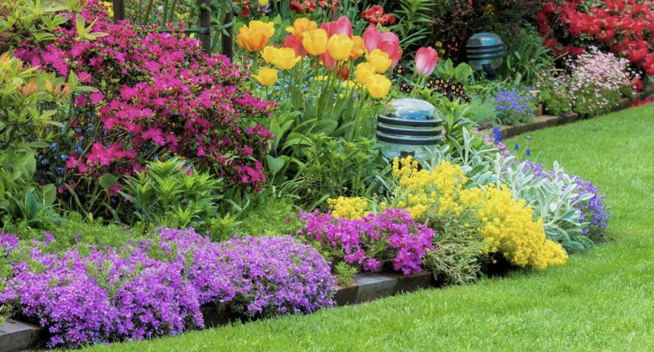 Как спланировать цветник непрерывного цветения на даче — простая схема, которая работает каждый сезон 🌸🌿