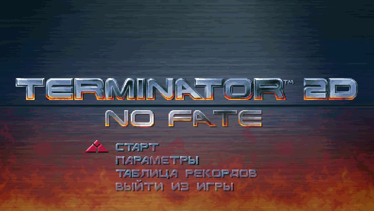 Terminator 2D: No Fate