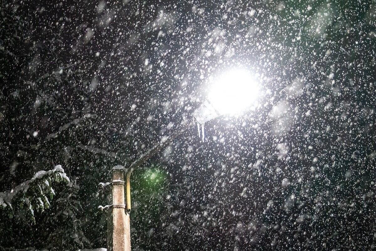 Открытый источник Яндекс Картинки