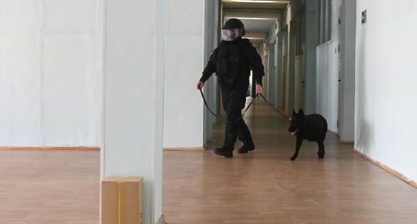    РИА «Новости»