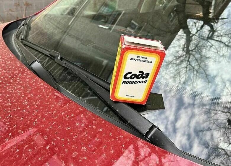 Фото из открытых источников 