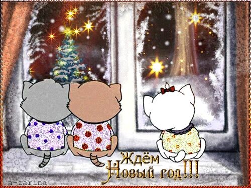 Фото из открытого источника