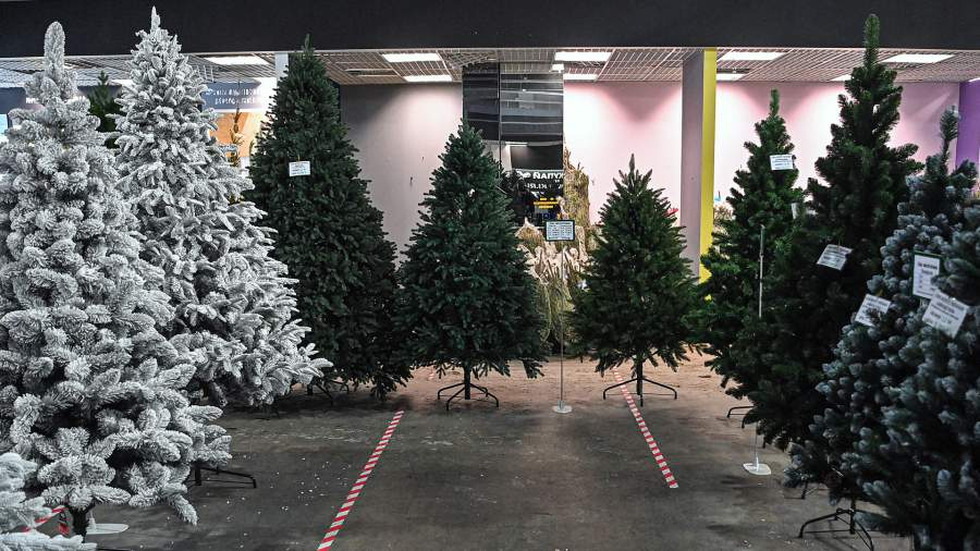 Фото: РИА Новости/Евгений Одиноков