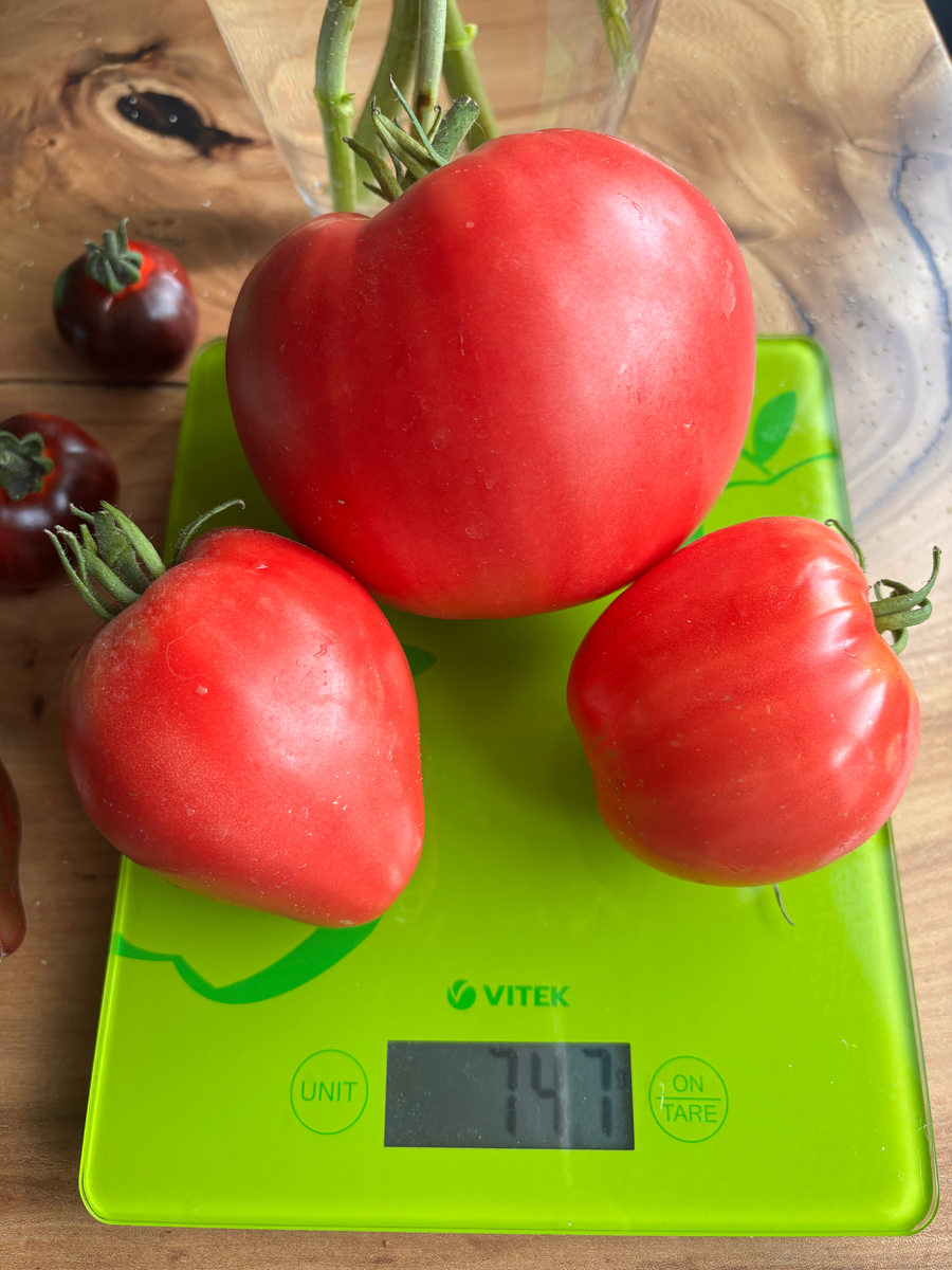 Разные формы