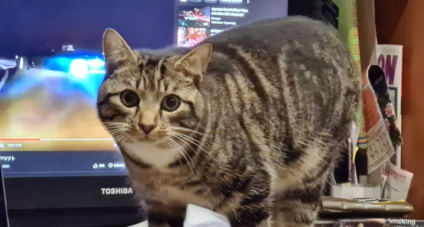    Фото Анастасии Дмитриевой