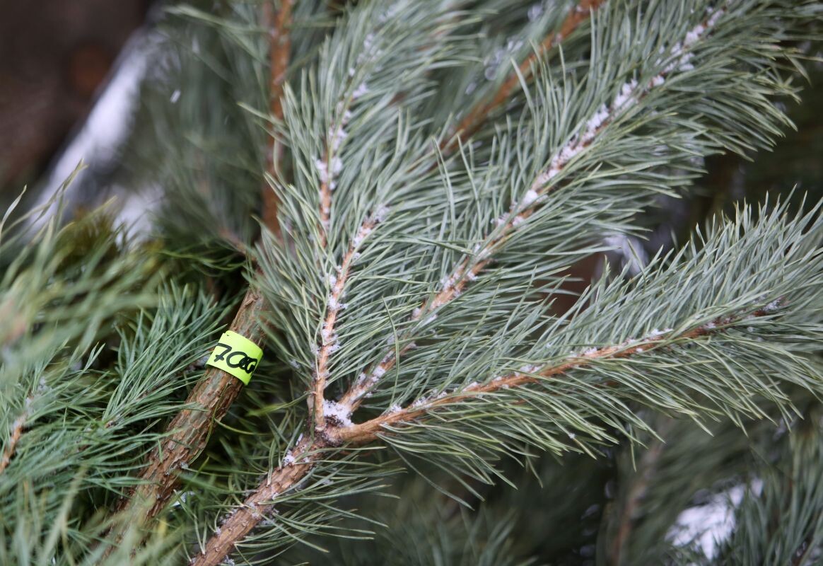    Фото: Игорь Филонов